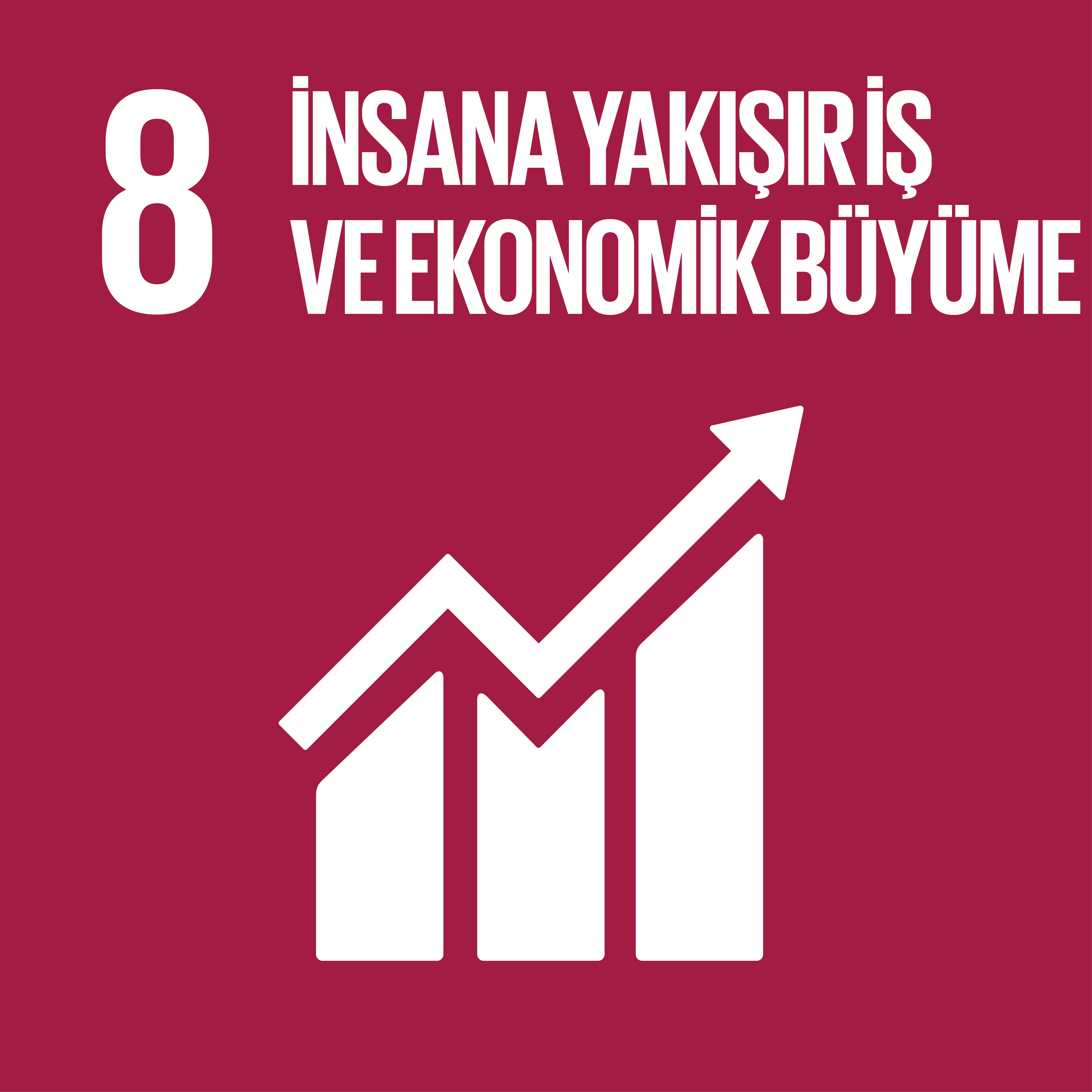 SDG08